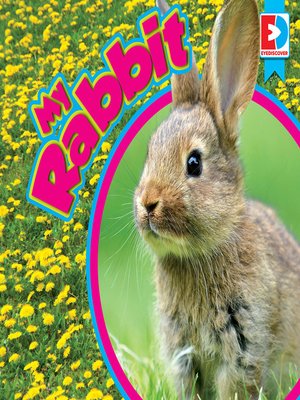cover image of My Rabbit